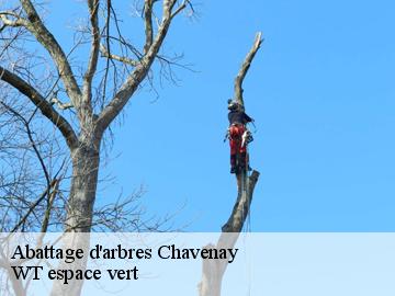 Abattage d'arbres chavenay-78450 WT espace vert