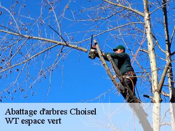 Abattage d'arbres choisel-78460 WT espace vert