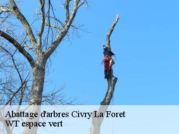 Abattage d'arbres civry-la-foret-78910 Archange Paysagiste 78