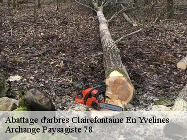 Abattage d'arbres  clairefontaine-en-yvelines-78120 Archange Paysagiste 78