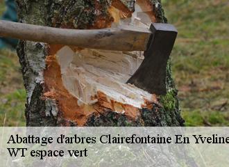 Abattage d'arbres clairefontaine-en-yvelines-78120 WT espace vert