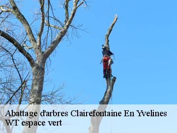 Abattage d'arbres clairefontaine-en-yvelines-78120 WT espace vert