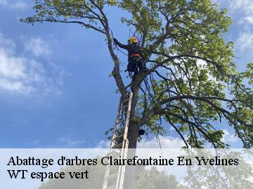 Abattage d'arbres clairefontaine-en-yvelines-78120 WT espace vert