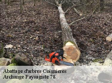 Abattage d'arbres  coignieres-78310 Archange Paysagiste 78