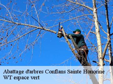 Abattage d'arbres conflans-sainte-honorine-78700 Archange Elagage
