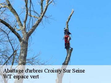 Abattage d'arbres croissy-sur-seine-78290 WT espace vert