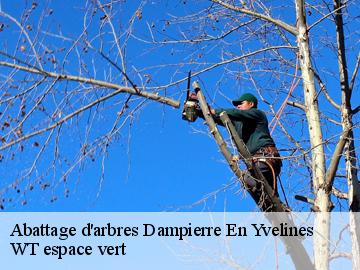 Abattage d'arbres  dampierre-en-yvelines-78720 WT espace vert 