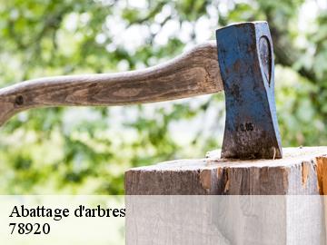 Abattage d'arbres  78920