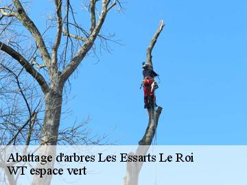 Abattage d'arbres les-essarts-le-roi-78690 WT espace vert