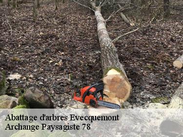 Abattage d'arbres  evecquemont-78740 Archange Paysagiste 78