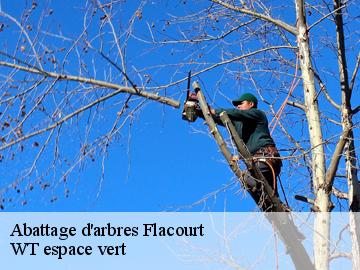 Abattage d'arbres flacourt-78200 WT espace vert