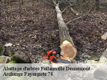 Abattage d'arbres  follainville-dennemont-78520 Archange Paysagiste 78