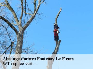 Abattage d'arbres  fontenay-le-fleury-78330 WT espace vert 