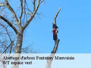 Abattage d'arbres fontenay-mauvoisin-78200 Archange Elagage