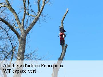 Abattage d'arbres fourqueux-78112 WT espace vert
