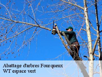 Abattage d'arbres fourqueux-78112 WT espace vert