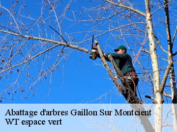 Abattage d'arbres gaillon-sur-montcient-78250 WT espace vert