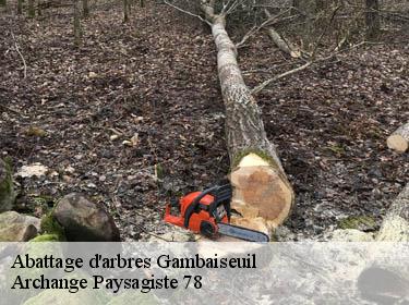 Abattage d'arbres  gambaiseuil-78490 Archange Paysagiste 78