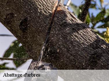 Abattage d'arbres  gambaiseuil-78490 Archange Elagage