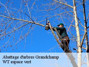 Abattage d'arbres grandchamp-78113 WT espace vert