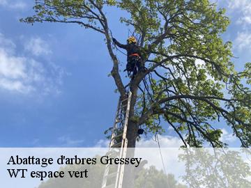 Abattage d'arbres gressey-78550 Archange Elagage