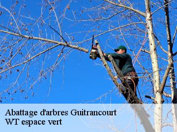 Abattage d'arbres guitrancourt-78440 WT espace vert
