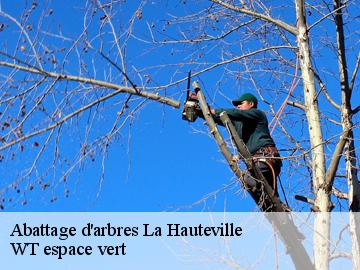 Abattage d'arbres  la-hauteville-78113 WT espace vert 