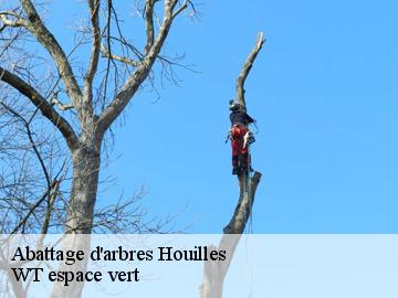 Abattage d'arbres houilles-78800 WT espace vert
