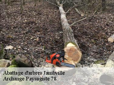 Abattage d'arbres  jambville-78440 Archange Paysagiste 78