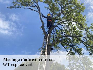 Abattage d'arbres  jeufosse-78270 Archange Paysagiste 78