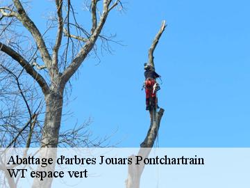 Abattage d'arbres jouars-pontchartrain-78760 WT espace vert