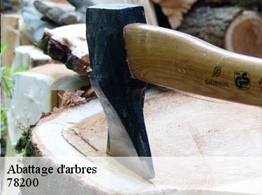 Abattage d'arbres  jouy-mauvoisin-78200 Archange Paysagiste 78