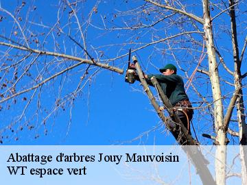 Abattage d'arbres jouy-mauvoisin-78200 WT espace vert
