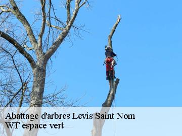 Abattage d'arbres  levis-saint-nom-78320 WT espace vert 