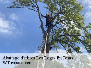 Abattage d'arbres les-loges-en-josas-78350 Archange Elagage