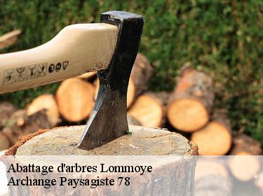 Abattage d'arbres  lommoye-78270 Archange Paysagiste 78