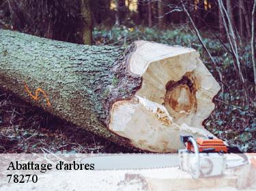Abattage d'arbres lommoye-78270 WT espace vert