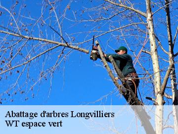 Abattage d'arbres longvilliers-78730 WT espace vert