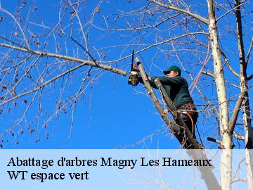 Abattage d'arbres magny-les-hameaux-78114 WT espace vert