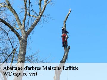 Abattage d'arbres maisons-laffitte-78600 WT espace vert
