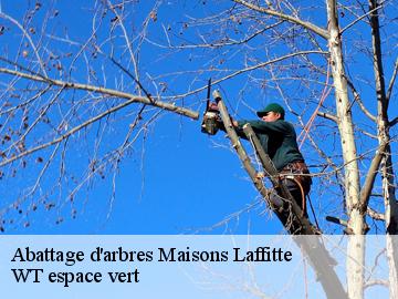 Abattage d'arbres maisons-laffitte-78600 WT espace vert