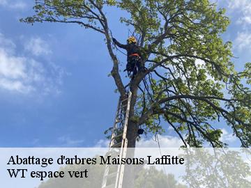 Abattage d'arbres maisons-laffitte-78600 WT espace vert