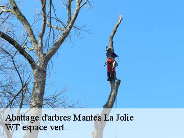 Abattage d'arbres mantes-la-jolie-78200 Archange Paysagiste 78