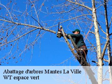 Abattage d'arbres mantes-la-ville-78200 WT espace vert