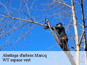 Abattage d'arbres marcq-78770 WT espace vert