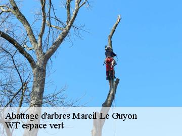 Abattage d'arbres mareil-le-guyon-78490 Archange Paysagiste 78