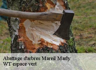 Abattage d'arbres  mareil-marly-78750 Archange Paysagiste 78