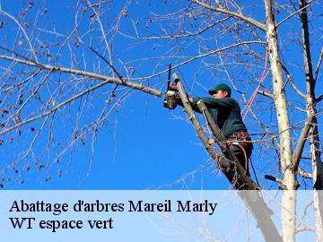 Abattage d'arbres  mareil-marly-78750 Archange Paysagiste 78