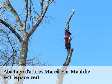 Abattage d'arbres  mareil-sur-mauldre-78124 WT espace vert 