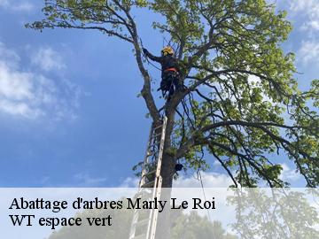 Abattage d'arbres marly-le-roi-78160 WT espace vert
